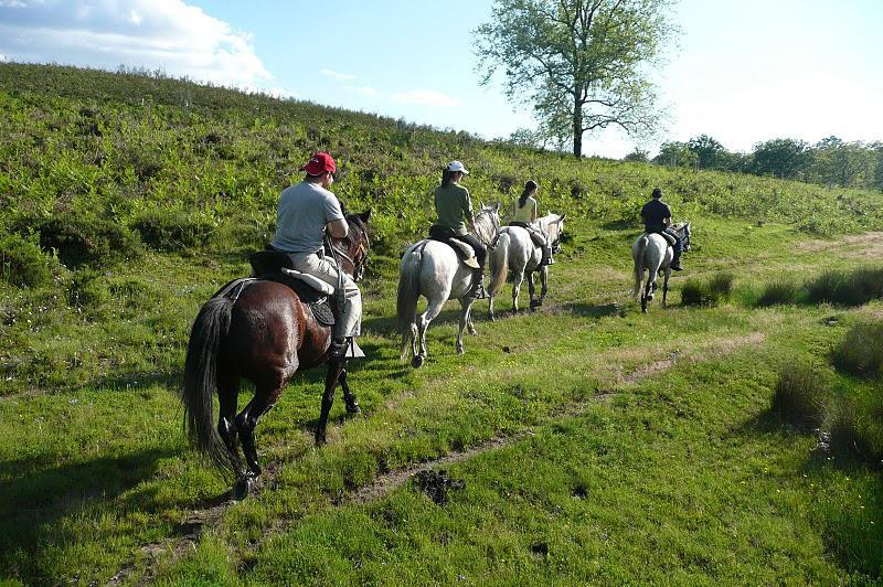 Albergue Camino Norte Castropol Zewnętrze zdjęcie